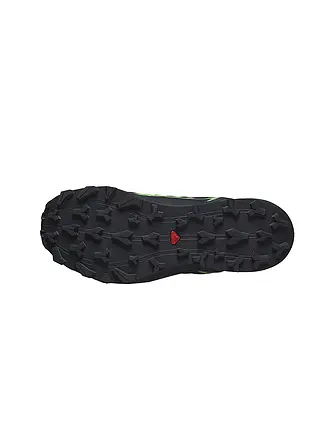 SALOMON | Chaussures de trail Thundercross GTX pour homme | schwarz